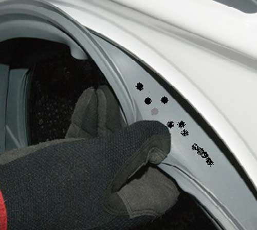 gioăng máy giặt Electrolux bị mốc đen