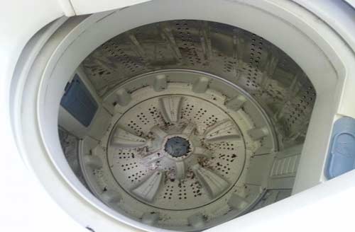 vệ sinh lồng máy giặt Electrolux