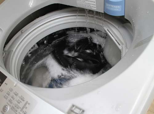 mở cửa máy giặt Electrolux khi đang chạy